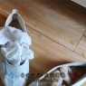 ����ʵ��Լ��������Ů��Ū˿������