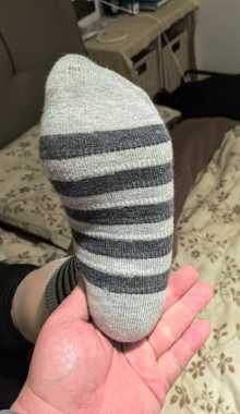 ϱ�������������ֺ